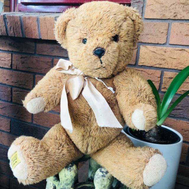 Teddy Bear - Merry Thought Ironbridge ( Engl...