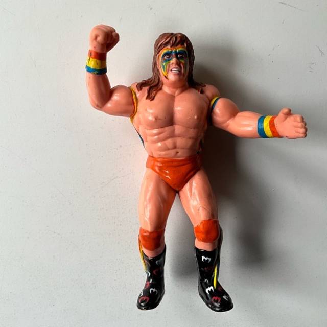 WWF - Titan Sports Wrestling Superstars - Th...