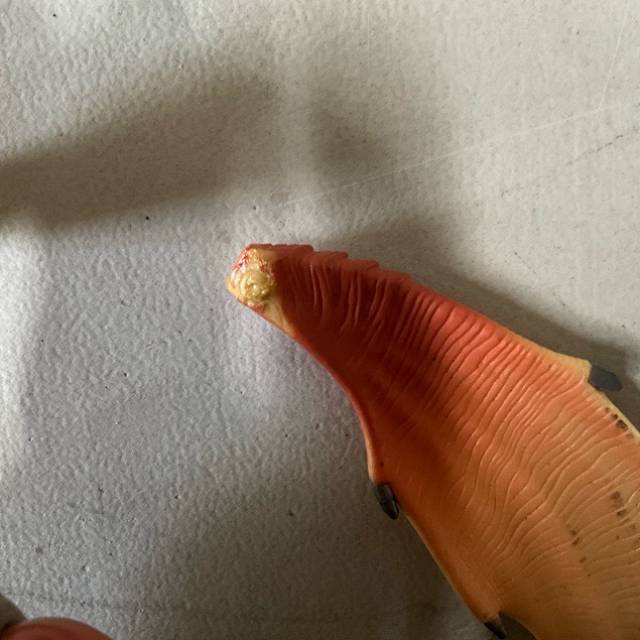 vintagetoy_36160.jpg