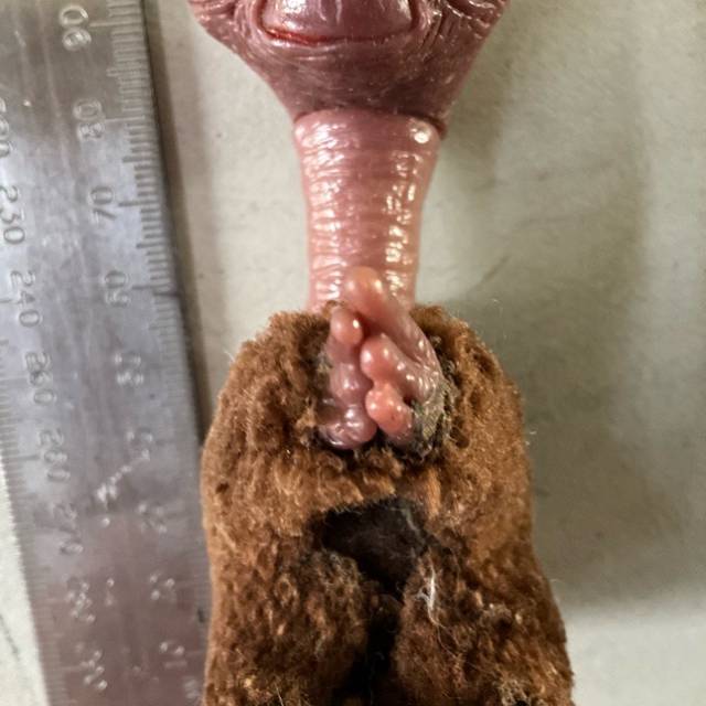 vintagetoy_36792.jpg