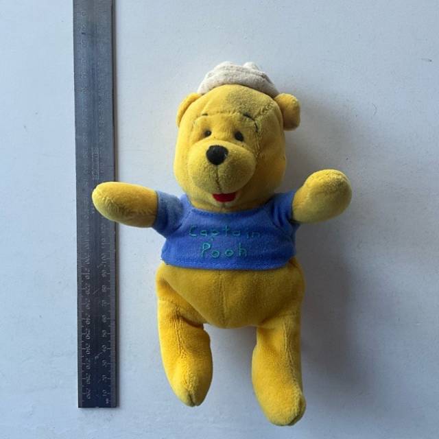 Winnie the Pooh (DISNEY) Bean (Plastic Pelle...
