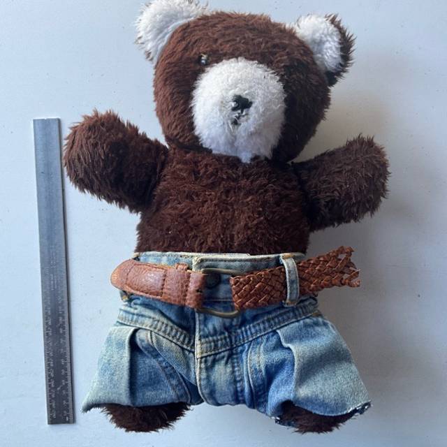 Brown Bear - Wearing Denim Shorts with Brown...
