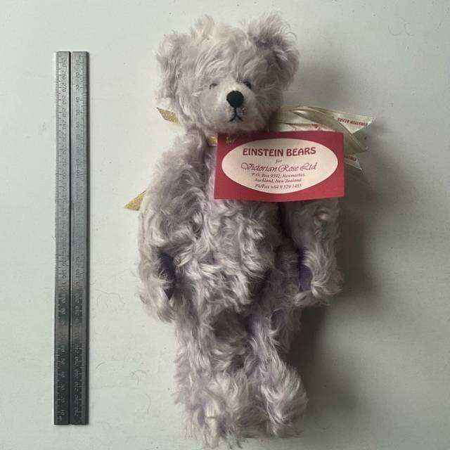 EINSTEIN BEARS for Victoria Rose Ltd (30cm H...