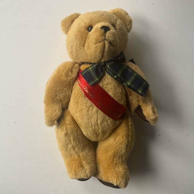 BEAR WITH US - Gordon (38cm Height) PAM
