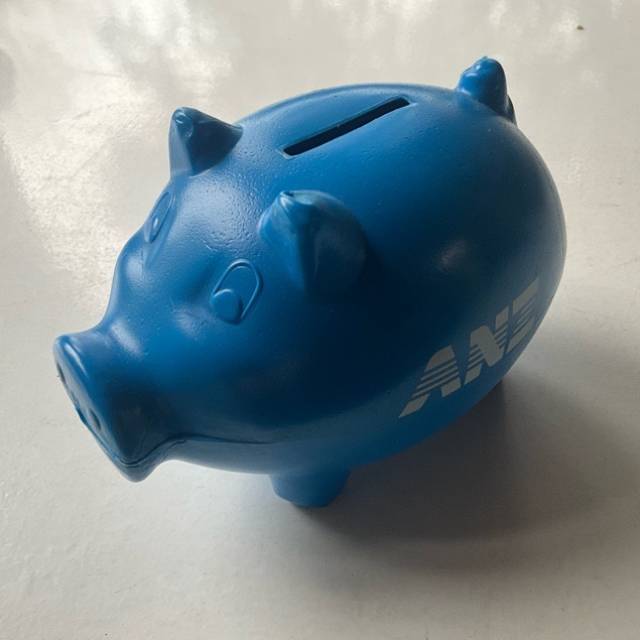 Money Box - ANZ Piggy Bank with Bung underne...