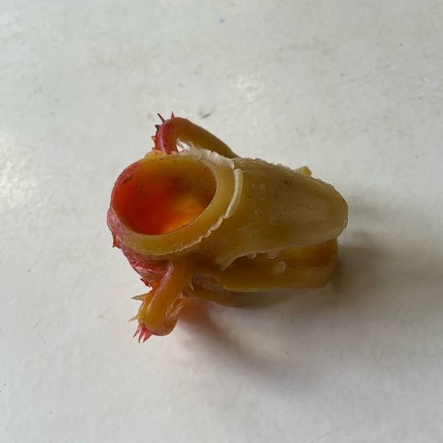 vintagetoy_48795.jpg
