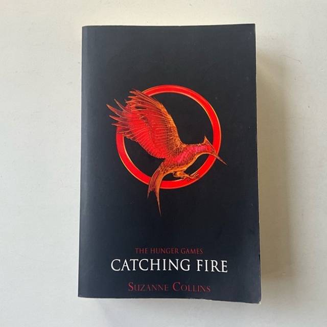 THE HUNGER GAMES CATCHING FIRE 2011