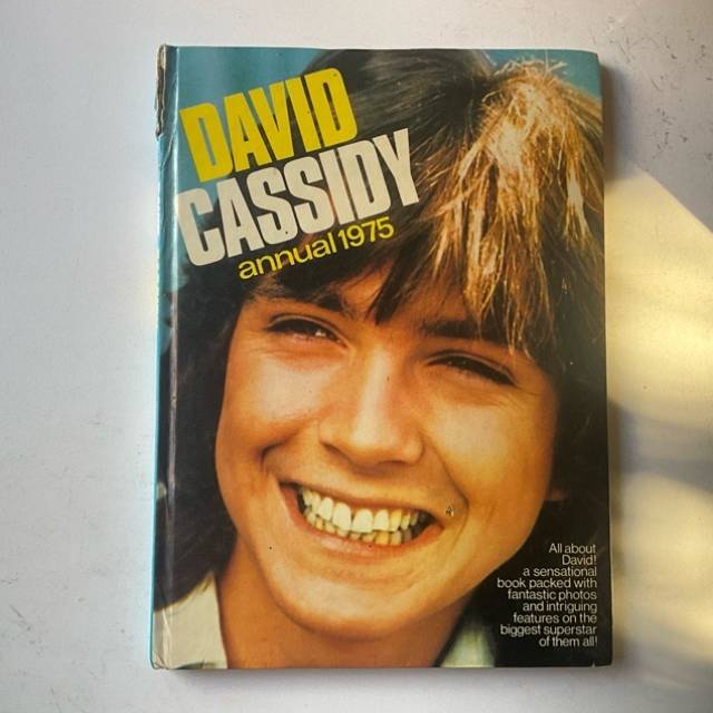 DAVID CASSIDY annual 1975