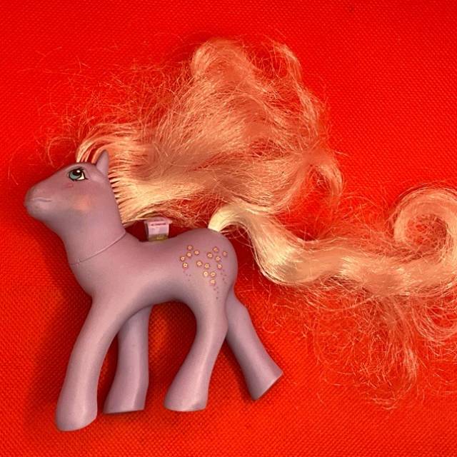 G1 My Little Pony Forget-Me-Not Flutter Poni...